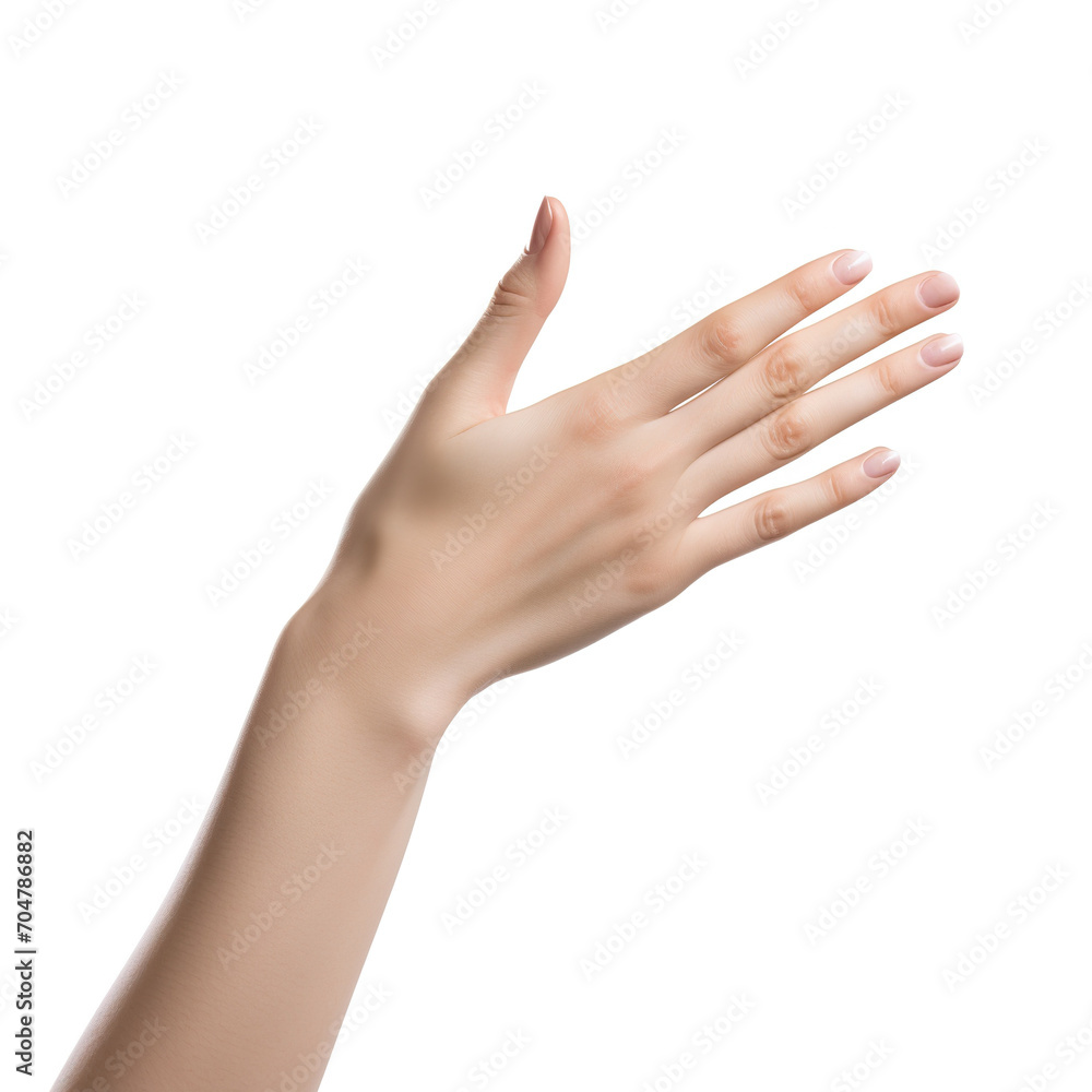 Beauty portrait of hand of woman model on white background
