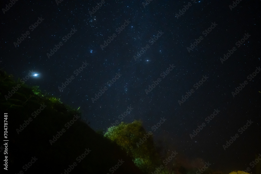 travel and people activity concept with star in the night with tree on mountain travel and people activity concept with star in the night with tree on mountain