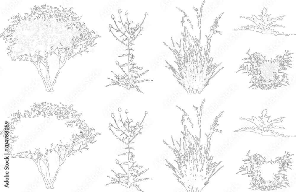 Plant elevation line silhouettes outline - grass, shrub, tree