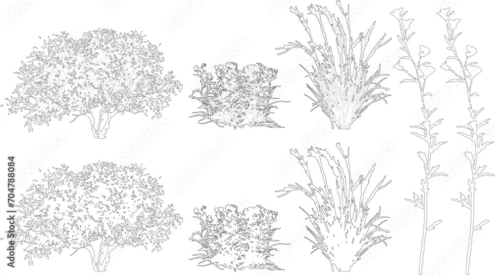 Plant elevation line silhouettes outline - grass, shrub, tree - obrazy, fototapety, plakaty 