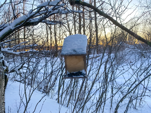 Fotografie A wooden bird feeder is suspended from a tree branch in a winter forest