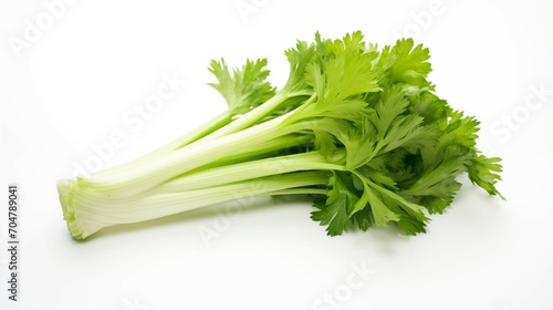 Healthy diet. Vegetables. Green celery leaves on white background. Isolated. 