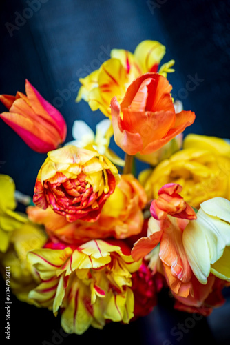 spring flowers on the dark background