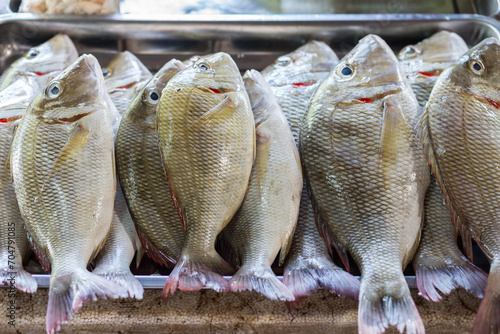 Emperor fish for sale at fresh market in Thaialnd. The scientific binomial name is Lethrinus lentjan. photo