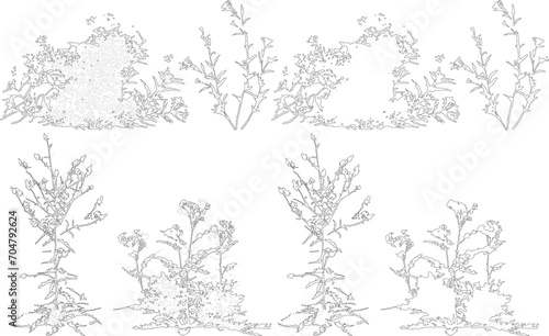 Plant elevation line silhouettes outline - grass, shrub, tree