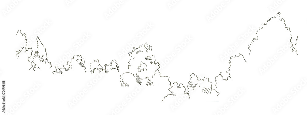 Sketch of young plants, bushes. Urban sketch with a black felt-tip pen, isolated on a white background. - obrazy, fototapety, plakaty 