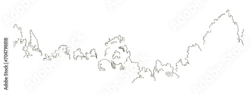 Sketch of young plants, bushes. Urban sketch with a black felt-tip pen, isolated on a white background.