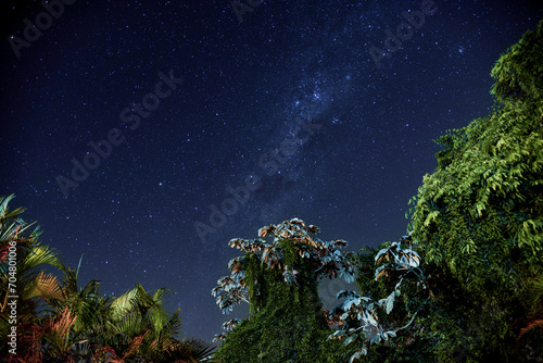 A Starry Night Sky over the Trees in the Countryside of Brazil