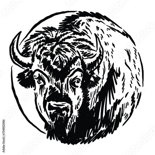 unique bison animal vector icon illustration