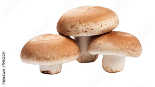 Brown Beauty Elegance Portobello Mushrooms on Your Plate