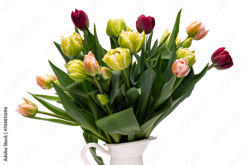 Elegant mixed tulips spring bouquet close up on white background. Spring tulips. Tulips bouquet. Elegant mixed tulips spring bouquet close up on white background. Spring tulips. Tulips bouquet.