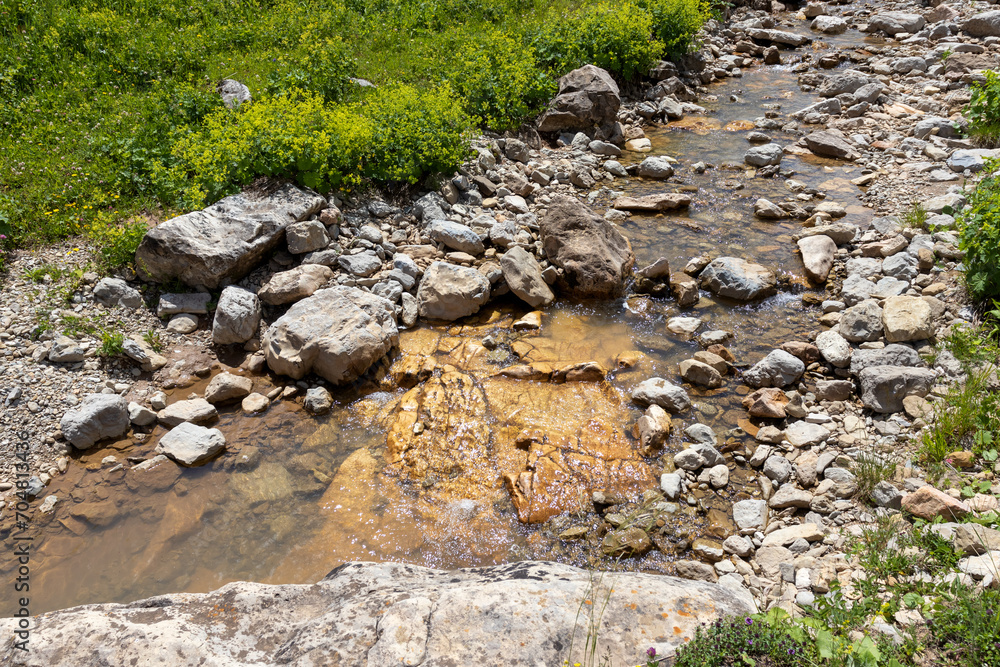 Walking along the bed of a mountain river in a natural park, during the flowering of plants and warm weather.