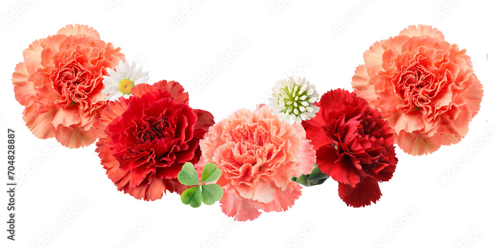 mother's day carnation arrangement
