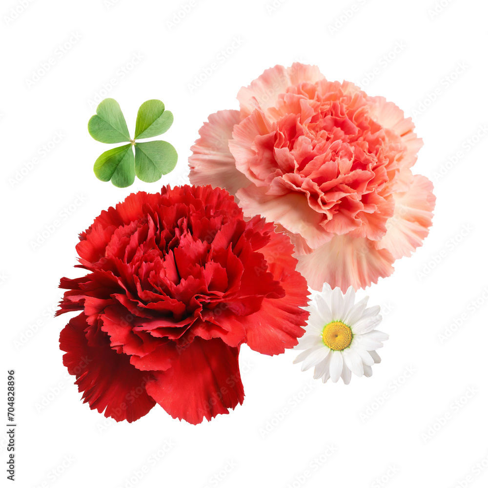 mother's day carnation arrangement
