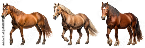 Set of walking horse isolated on transparent background. Red horse with long bangs. Generative AI