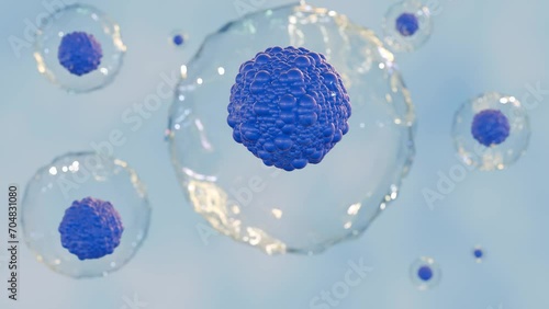 3d animation of a group of stem cells, which are unspecialized cells that can develop into different types of cells. The stem cells are shown as spheres with nuclei photo