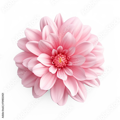 Pink flower, hyper realistic, isolate on transparency background png 