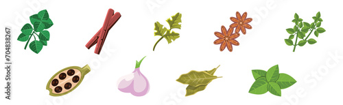 Culinary Aromatic Herbs and Condiment Flat Vector Set
