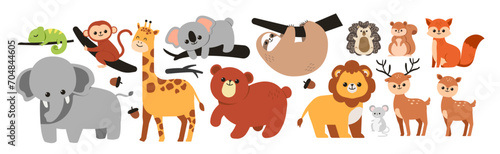 15 set of forest animal illustration. Cute forest animal illustration.