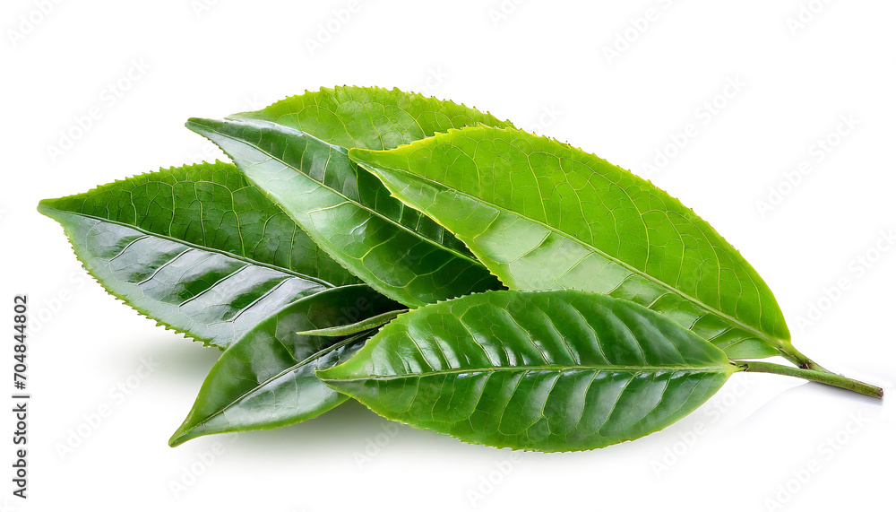 Obraz premium Green tea leaves isolated on white background