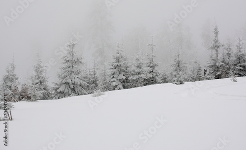 Biała, śnieżna zima na gorskim szlaku turystycznym © Hanna