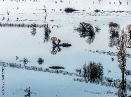Wallpaper Mural forest Torontodigital.ca