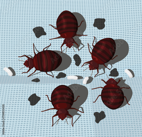 Bedbug infestation on blue fabric. A group of parasitic insects on bed linen.