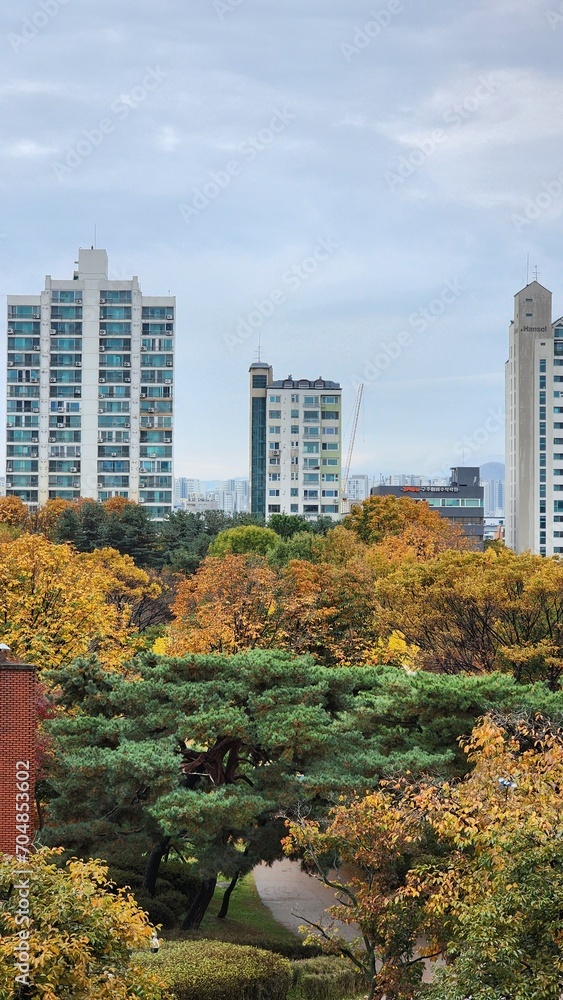 autumn in the city