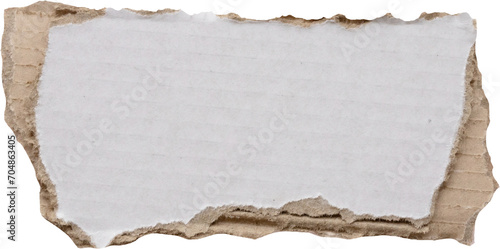piece of white paper tear isolated on white background