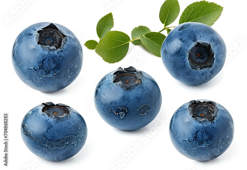 blueberries isolated on white background