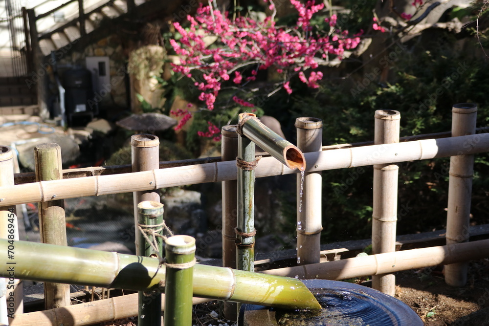 おおくら大佛で有名な世田谷区大蔵の妙法寺。鹿威しと梅