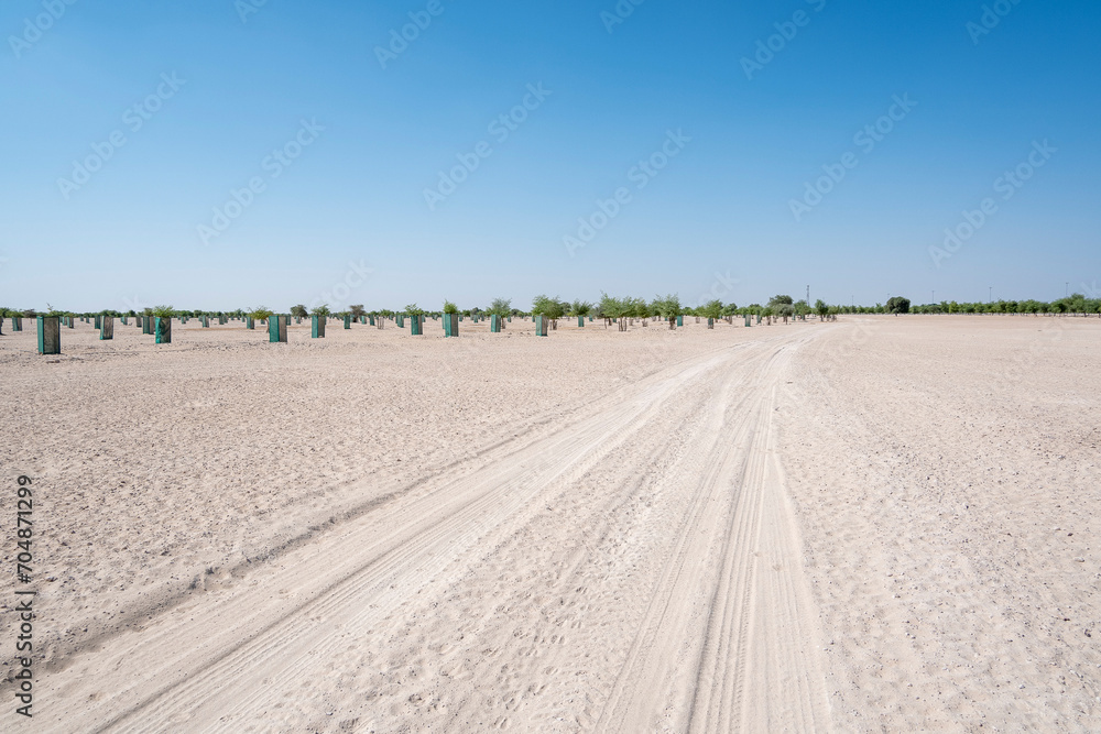Lisaili empty quarter seamless desert sahara in Dubai UAE middle east