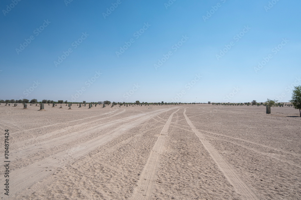 Lisaili empty quarter seamless desert sahara in Dubai UAE middle east with wind paths and sand hills newly planted trees shades under protection