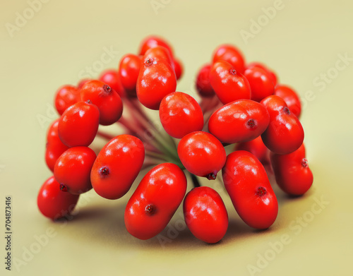 A close up of ginseng red berries on a yellow surface
