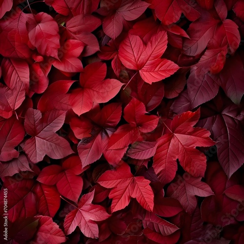 Dark red autumn leaves background  top view. Fall color concept