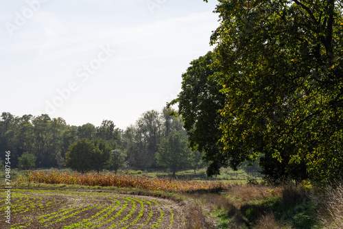 Semis de septembre : agro-écologie et paysage saisonnier en Alsace, CeA, Grand Est, France