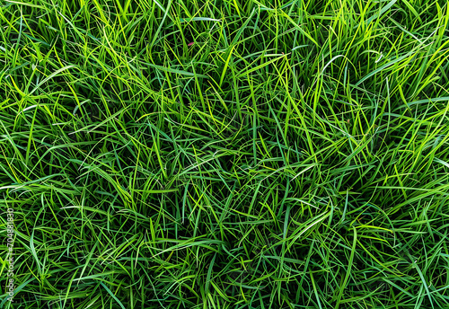 Photo of green fake grass texture , pattern , background design