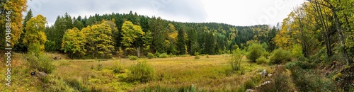 La tourbière de l'étang du Devin, Lapoutroie, Vosges (88), Alsace, Grand Est, France photo