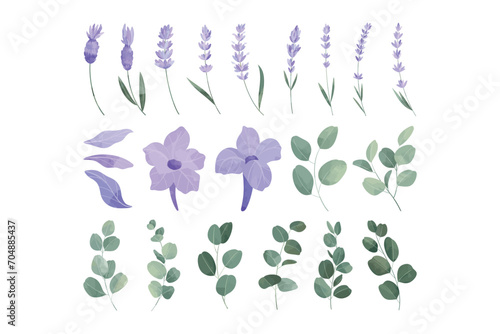 Purple Lavender Flower Illustration Set