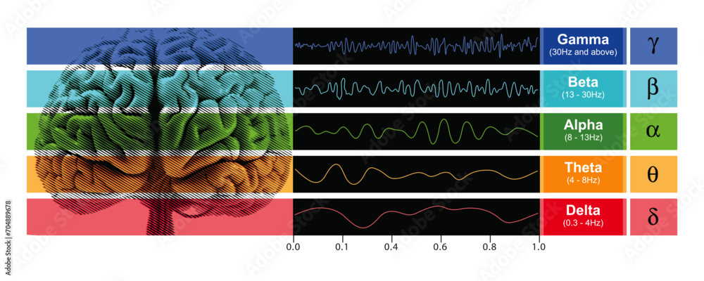 Digital illustration depicting EEG chart showcasing the various types ...