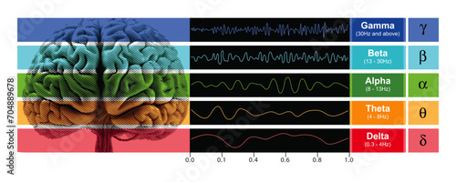 Digital illustration depicting EEG chart showcasing the various types of brain waves generated by human brain activity. 