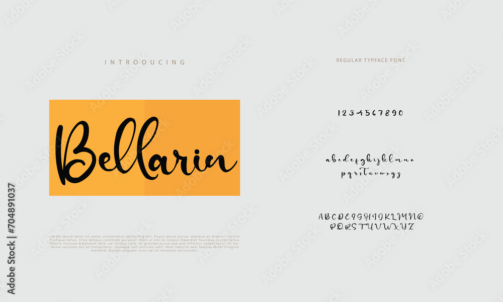 Fototapeta premium Signature Font Calligraphy Logotype Script Brush Font Type Font lettering handwritten 