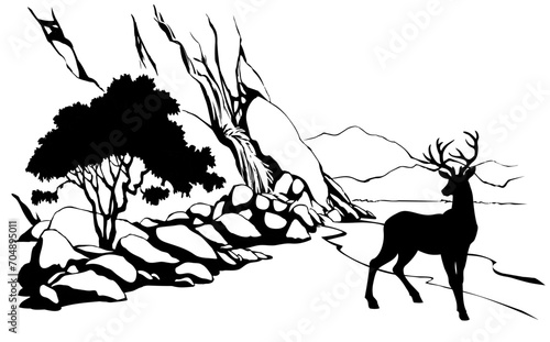 Vector landscape. Deer near a mountain stream