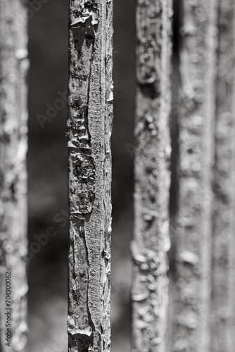 Vertical closeup of cracked metallic bars in grayscale