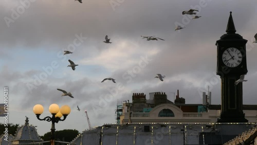 Seagulls over The Palace Pier in Brighton, East Sussex, England, United Kingdom photo