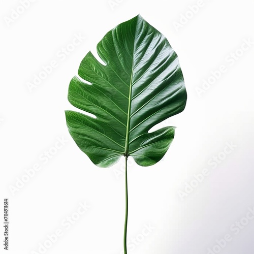 green leaf isolated on white background Created with generative Ai  