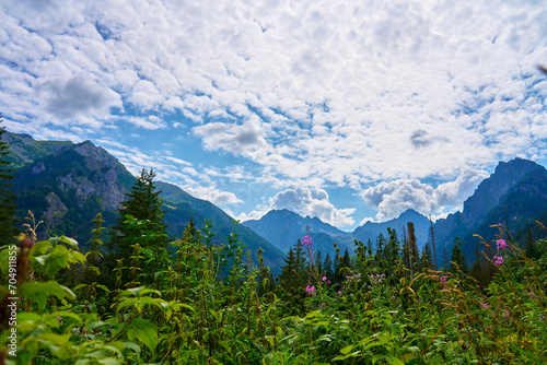 Amazing view on mountains range near forest trees at summer day. Tatra National Park in Poland