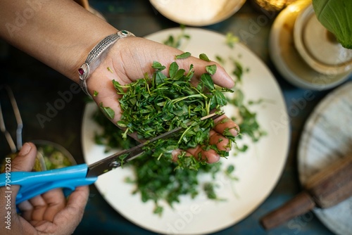 Woman cutting fresh green coriander in white table, Woman cutting fresh green cilantro, top view, A woman in a kitchen is cutting up coriander by hand with scissors. photo