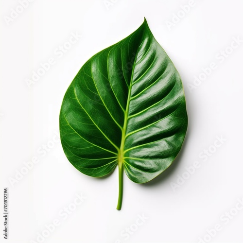 green leaf isolated on white background Created with generative Ai 