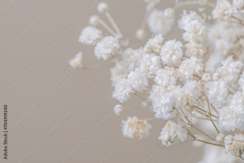 Romantic lovely beige neutral color of small flowers with light clean background and place for text on the left macro